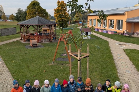 Den stromů ve Sluníčku 1