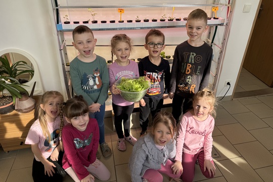 Motýlci z MŠ Kollárova - Sklizeň salátu 1