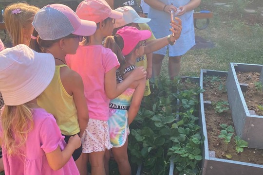 Společně na dálku: Domácí ovocná limonáda plná letních chutí 1