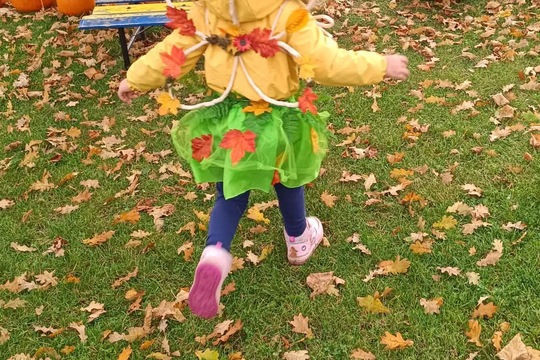 Podzimní slavnost - Jablka a řepa 1