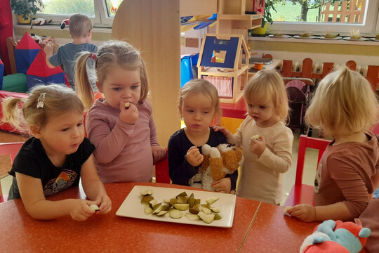 Podzimní aktivita třídy Berušek a Včelek 2025 1