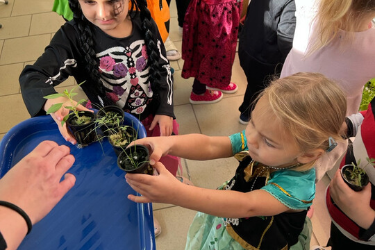 Péče o bylinky z hydroponické zahrádky Péče o bylinky z hydroponické zahrádky 1