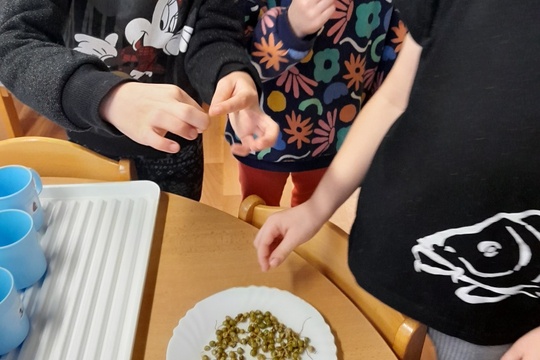 Masopustní týden u "Motýlků" 1