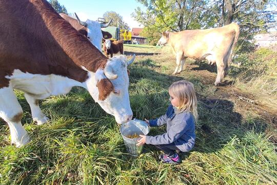 Společné projektové dny ZŠ a MŠ Bohuslavice jako cesta k praktickému vzdělávání a skutečným zkušenostem. 1