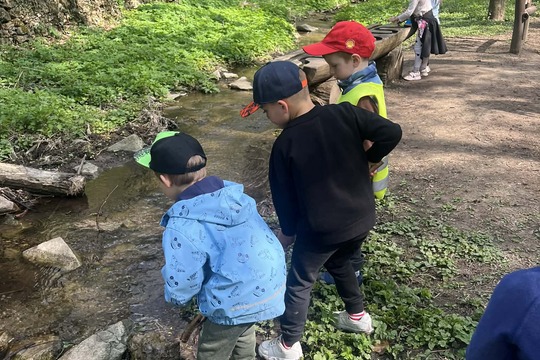 Pěší výlet k řece Dyji  1