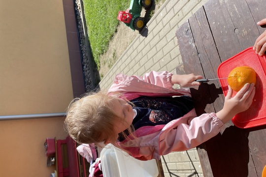 Pampeliškový med pro maminky z Motýlků 1