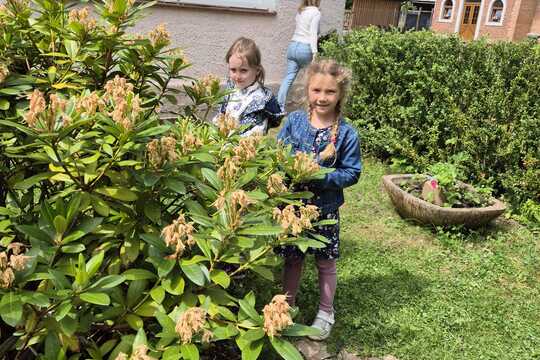 Cesta k jedlé zahradě. Cesta k jedlé zahradě. 1