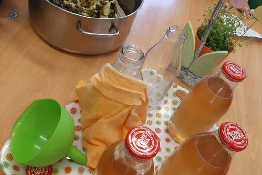 Pampeliškový sirup 1
