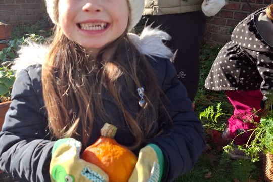 Zazimování školní ZAHRÁDKY 1