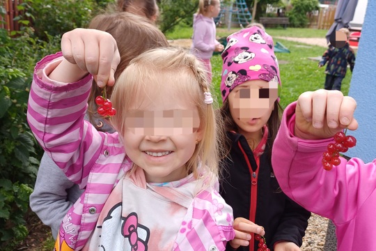 Sklizeň po celoroční péči o záhonky 1