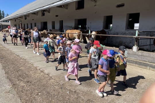 Školka v akci: Jak se rodí láska k přírodě a zemědělství Školka v akci: Jak se rodí láska k přírodě a zemědělství 1