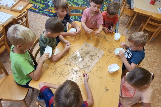 Od zrníčka k chlebu - sklízíme obilí - Sluníčka Od zrníčka k chlebu - sklízíme obilí - Sluníčka 1