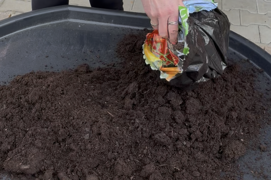 Blíží se Velikonoce  1