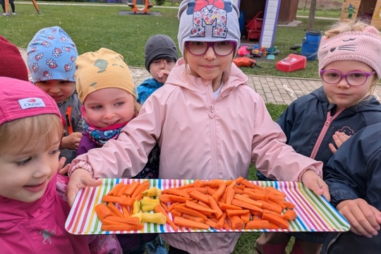 Úspěšná sklizeň a mrkvové hodování u Motýlků 1