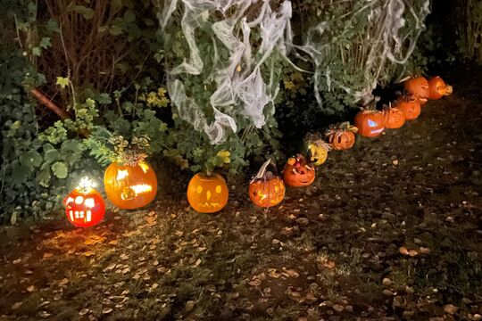 Den školní jídelny aneb Dýňohrátky ve Věkoších 2 1