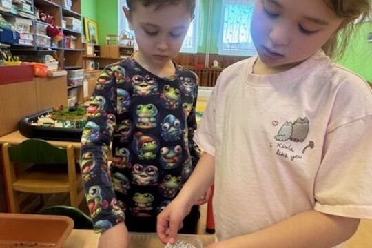 Microgreens - Sovičky 1