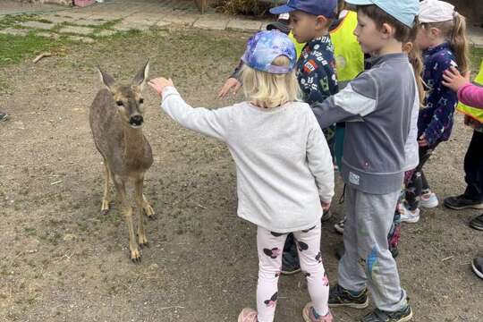 Za telátky, kůzlaty a pilnými včelkami Za telátky, kůzlaty a pilnými včelkami 1