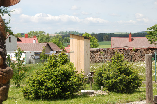 Sušíme jarní byliny a květiny 1