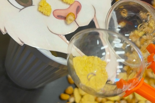 Farma ve třídě Farma ve třídě 1