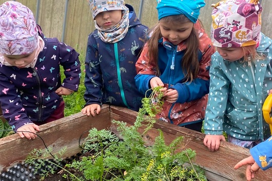 Děti z MŠ ukončily zahradnickou sezonu  1