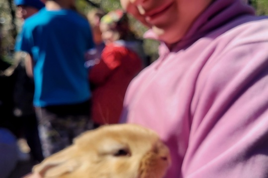Poznáváme svět zvířat zblízka Poznáváme svět zvířat zblízka 1