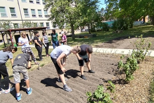 Velké jarní sázení Velké jarní sázení 1