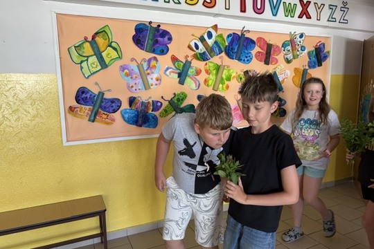 Něco se chystá…  1