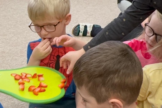 Ovoce a naše smysly  1