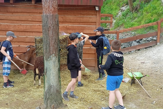 Náš výlet do Farmaparku u Toma 1