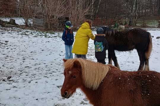 Návštěva poníků v Lísce Návštěva poníků v Lísce 1