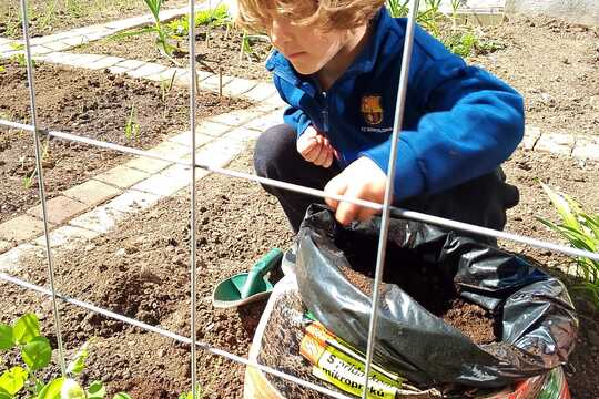 První letošní úroda 1