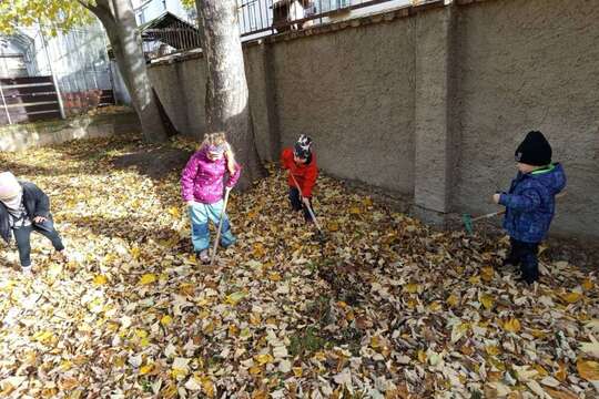 Podzimní úklid 1