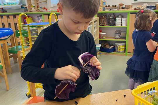 Chlebové pirátské lodě 1