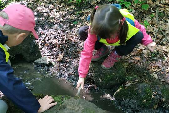 Studánky 1