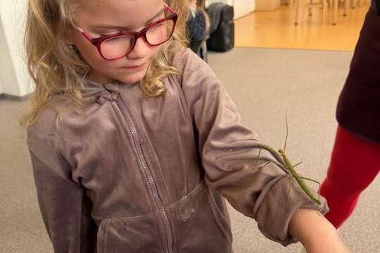 Zvířátka – ať už plastová, plyšová, živá nebo kreslená 1