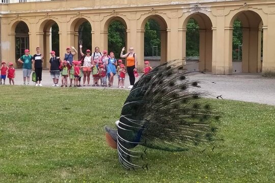 Naše školka v přírodě na farmě 1