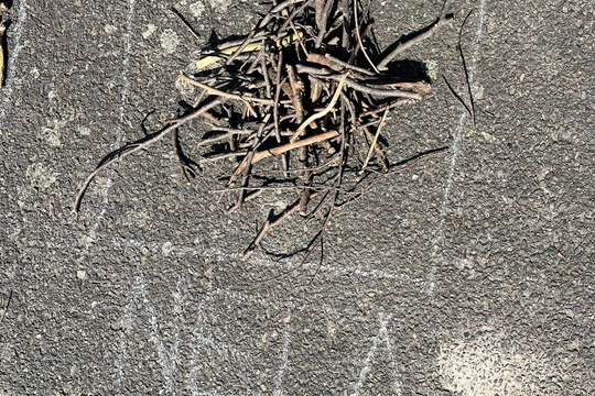 Landart 1