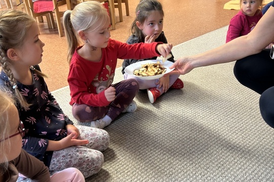 Křížaly z jablíček a zdravý fresh Křížaly z jablíček a zdravý fresh 1