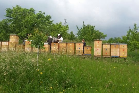 Hospodaření s rodiči 1