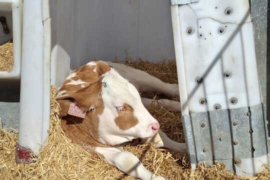 Výlet na Zlatou farmu  1