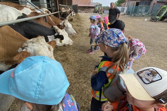 Koťátka na rodinné  EKO farmě Drozdových 1