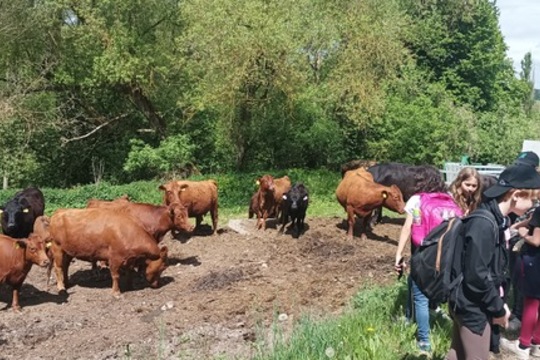 Čtvrťáci poznávali život na farmě i principy ekologického zemědělství Čtvrťáci poznávali život na farmě i principy ekologického zemědělství 1