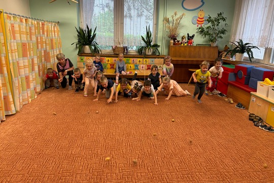 Mezinárodní den brambor Mezinárodní den brambor 1