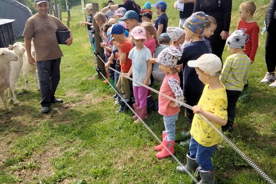 Výlet na farmu  1