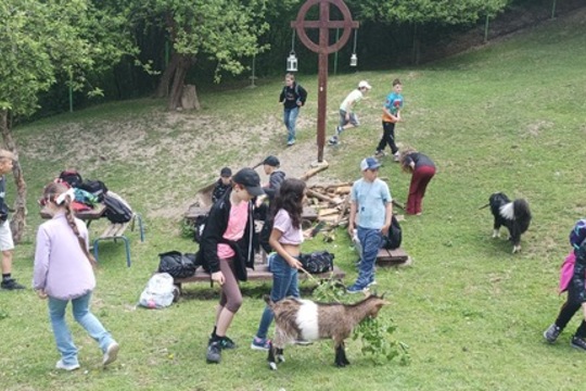 Čtvrťáci poznávali život na farmě i principy ekologického zemědělství Čtvrťáci poznávali život na farmě i principy ekologického zemědělství 1
