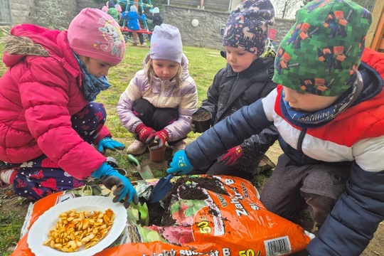 JARNÍ SÁZENÍ DÝNÍ A KVĚTIN  V BERUŠKÁCH 1
