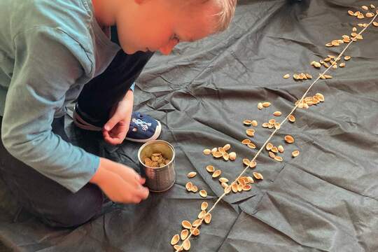 Jak Berušky pěstovaly mrkev Jak Berušky pěstovaly mrkev 1