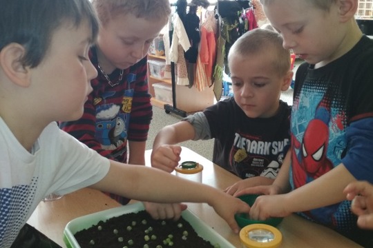 Microgreens - MŠ Bohučovice 1