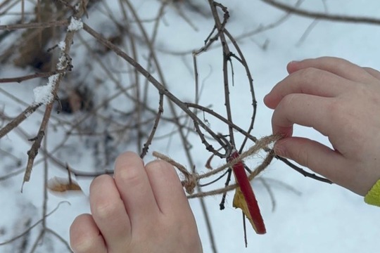 Vnímáme přírodu  1