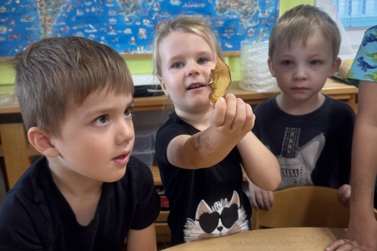 Zdravá pochoutka z jablek 1